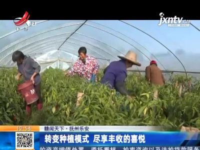 【赣闻天下】抚州乐安：转变种植模式 尽享丰收的喜悦