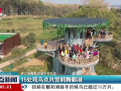 【第二届鄱阳湖国际观鸟周】15处观鸟点共赏鹤舞鄱湖