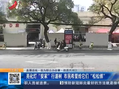 【直播连线·我为群众办实事】南昌西湖区：亮化灯“安家”行道树 市民希望给它们“松松绑”