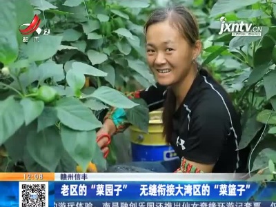 赣州信丰：老区的“菜园子” 无缝衔接大湾区的“菜篮子”