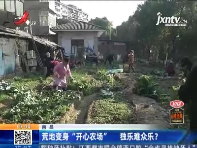 南昌：荒地变身“开心农场” 独乐难众乐？