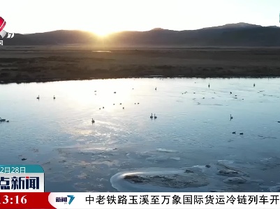 整点新闻20211228 12:00