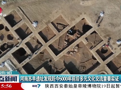 河南苏羊遗址发现距今5000年前后多元文化交流重要实证