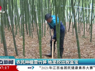 农民种植雷竹笋 地里挖出致富宝