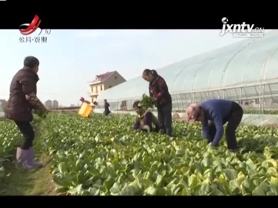 三农要闻20211218