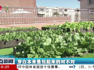 南昌：学校楼顶变空中菜园 劳动学习两不误