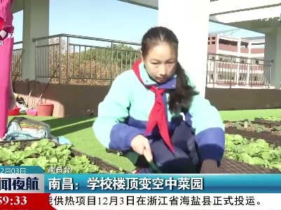 南昌：学校楼顶变空中菜园