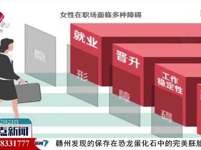 妇女权益保障法提请修改：用工单位要尊重女性工作权与生育权
