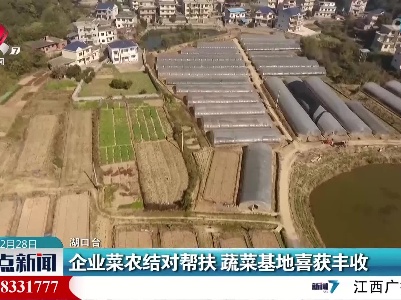 企业菜农结对帮扶 蔬菜基地喜获丰收