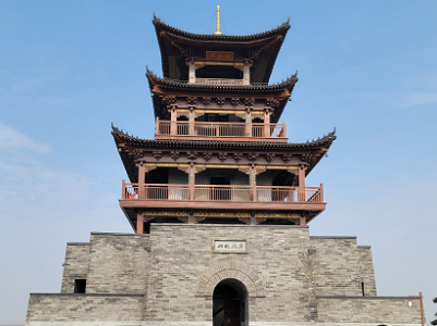 美丽江西九江行 走进吴城候鸟小镇