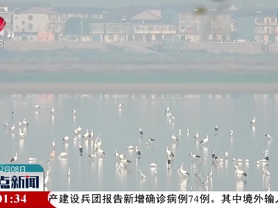 爱鸟护鸟 共建美好家园