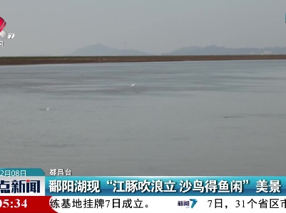 鄱阳湖现“江豚吹浪立 沙鸟得鱼闲”美景
