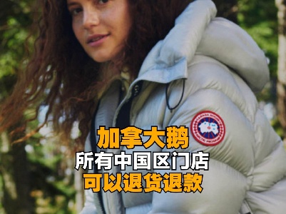 热评|加拿大鹅，“入乡随俗”才不会掉落“一地鹅毛”