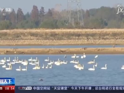 江西南昌：修建防护栏 保护候鸟栖息环境