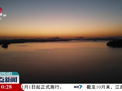 整点新闻20211208 12:00