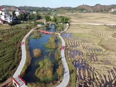 江西试点生态修复小微湿地 受污水塘变身乡村公园