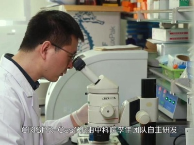 【晒晒咱的国之重器10】短视频丨基因编辑的精准“剪刀” 