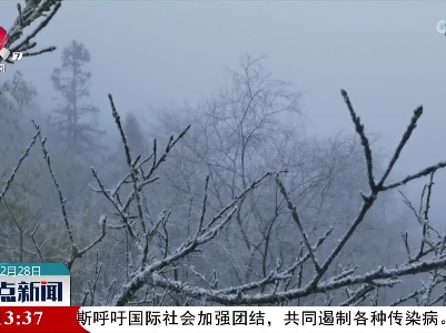 【冬景 别有意味】四川华蓥山：雪后冬景美