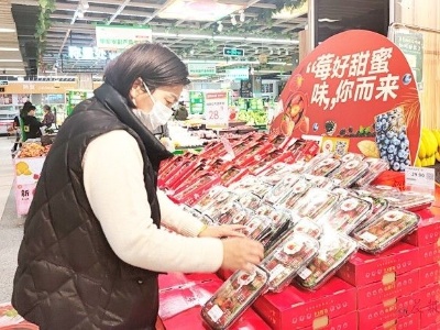 外地草莓一颗要卖五元多！南昌本地平价草莓上市还要再等半个月