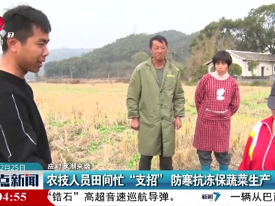 【应对寒潮来袭】农技人员田间忙“支招”防寒抗冻保蔬菜生产