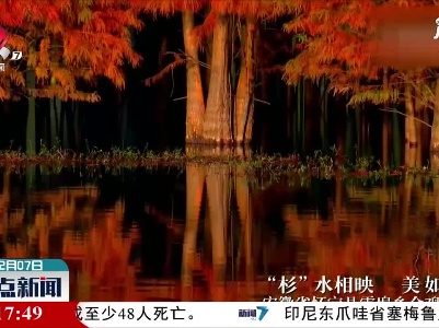 安徽怀宁：“杉”水相映 美如画卷