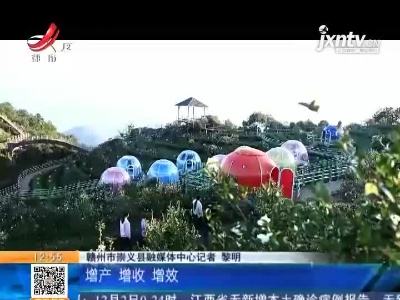 【赣闻天下】赣州崇义：茶旅融合 怡人美景醉游人