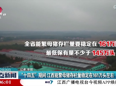“十四五”期间 江西能繁母猪存栏量稳定在161万头左右