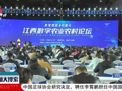 新闻大搜索20211203