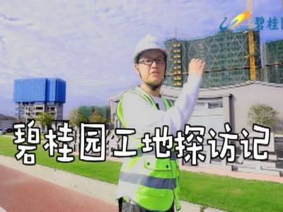 碧桂园工地探访记