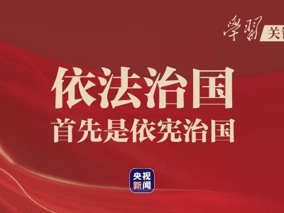 学习关键词丨百年大党引领依宪治国