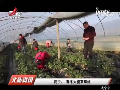 江西旅游报道20211217