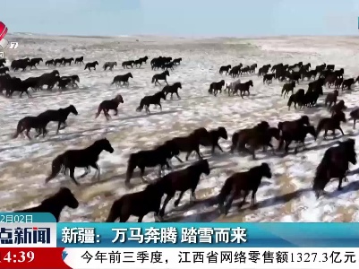 新疆：万马奔腾 踏雪而来