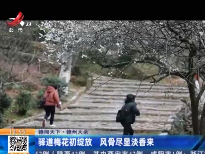 都市现场·午间版20211221