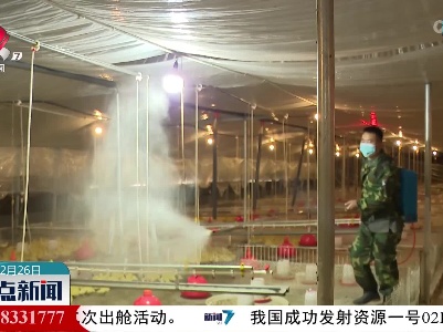 【压轴寒潮来袭】万安：为150万羽“鸭子”送“暖”