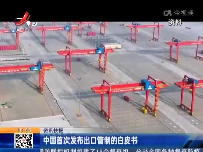 中国首次发布出囗管制的白皮书