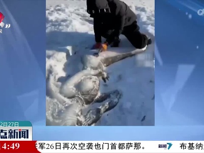 栩栩如生 男子冰面上雕出美人鱼