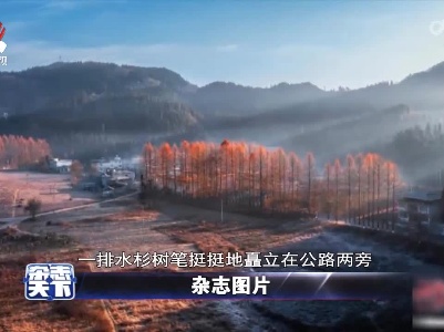 杂志天下20211222