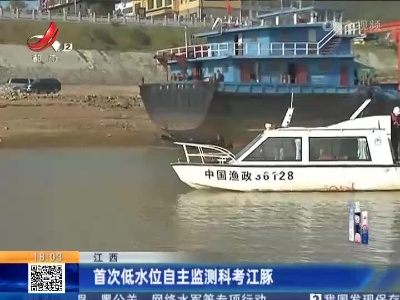 江西：首次低水位自主监测科考江豚