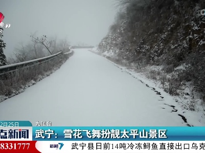 武宁：雪花飞舞扮靓太平山景区