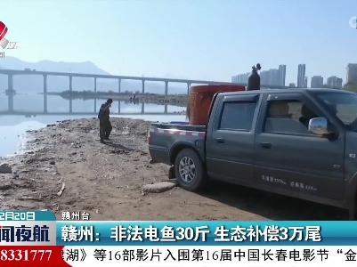 赣州：非法电鱼30斤 生态补偿3万尾
