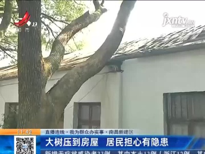 【直播连线·我为群众办实事】南昌新建区：大树压到房屋 居民担心有隐患