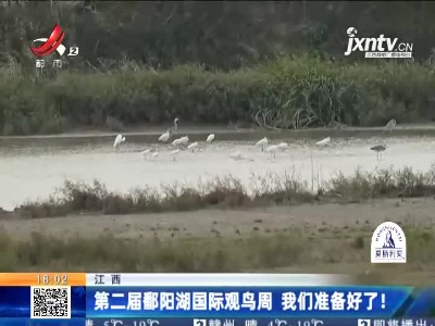 江西：第二届鄱阳湖国际观鸟周 我们准备好了！