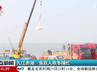 九江赤湖：鱼跃人欢冬捕忙