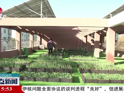 南昌：学校楼顶变空中菜园 劳动学习两不误
