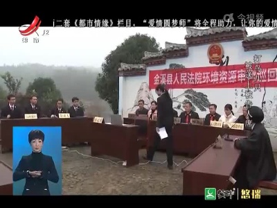 晚间800 20211224 为了鸟儿的审判