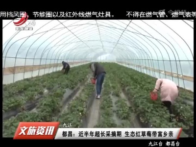 九江都昌：近半年超长采摘期 生态红草莓带富乡亲