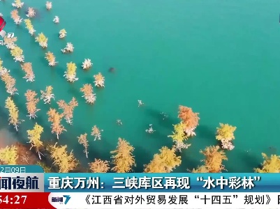 重庆万州：三峡库区再现“水中彩林”