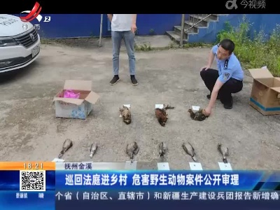 抚州金溪：巡回法庭进乡村 危害野生动物案件公开审理