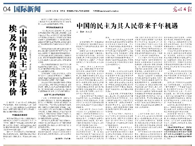 埃及各界高度评价《中国的民主》白皮书