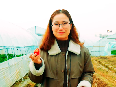 江西浮梁：草莓大棚铺就“甜蜜”致富路